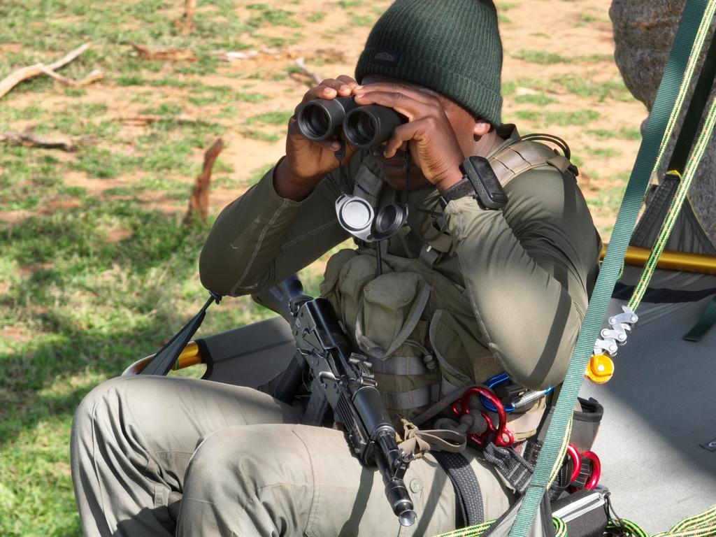 What has tree climbing got to do with rhino conservation?