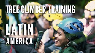 Reach for the Sky: Training Arborists in Latin America