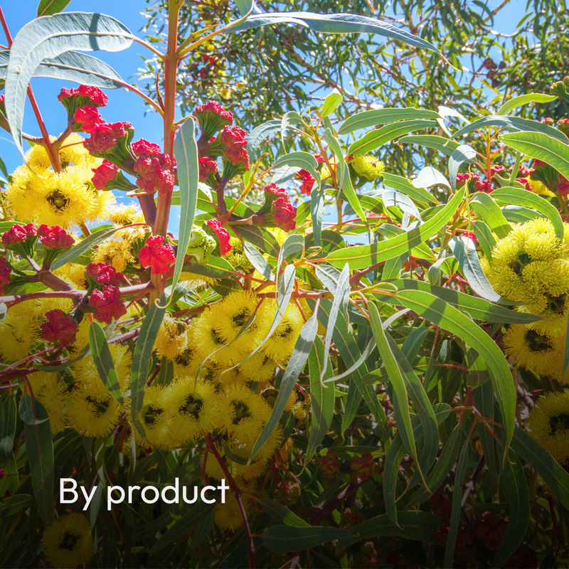 By product