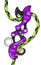 Rock Exotica Akimbo²