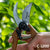 BERGER PROFESSIONAL HEAVY DUTY HAND PRUNING SHEAR, CORK HANDLE GRIPS
