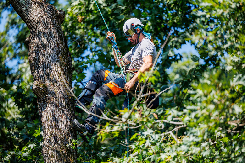 Vertec Aeris Friction Body Kit