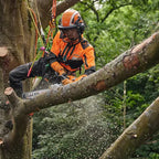 arborist cutting branch using The STIHL MSA 220 T Battery Chainsaw is a high-performance top-handle saw for professional arborists and tree maintenance work. Available at Cannings.
