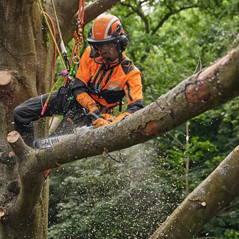 arborist cutting branch using The STIHL MSA 220 T Battery Chainsaw is a high-performance top-handle saw for professional arborists and tree maintenance work. Available at Cannings.