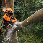 arborist using The STIHL MSA 220 T Battery Chainsaw is a high-performance top-handle saw for professional arborists and tree maintenance work. Available at Cannings.