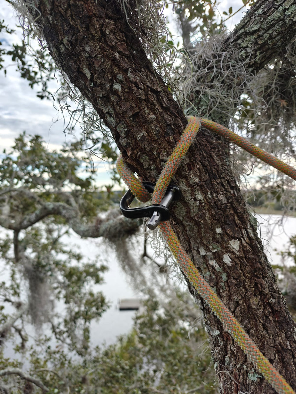 The Notch Quickie steel connector is a compact, CE-certified anchor and redirect device for arborists and climbers. Half the size of a carabiner — strong, safe, and versatile. 10