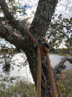 The Notch Quickie steel connector is a compact, CE-certified anchor and redirect device for arborists and climbers. Half the size of a carabiner — strong, safe, and versatile. 16