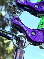 Rock Exotica Akimbo²