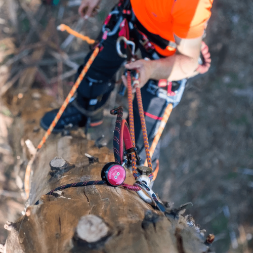 A close-up action shot of a climber wearing an orange shirt and climbing harness, using the 150cm ART RopeGuide 2010 with Cocoon Pulley (SKU RG10C15) Buy at Cannings. Premium mobile anchor and friction saver for professional arborist tree climbing.