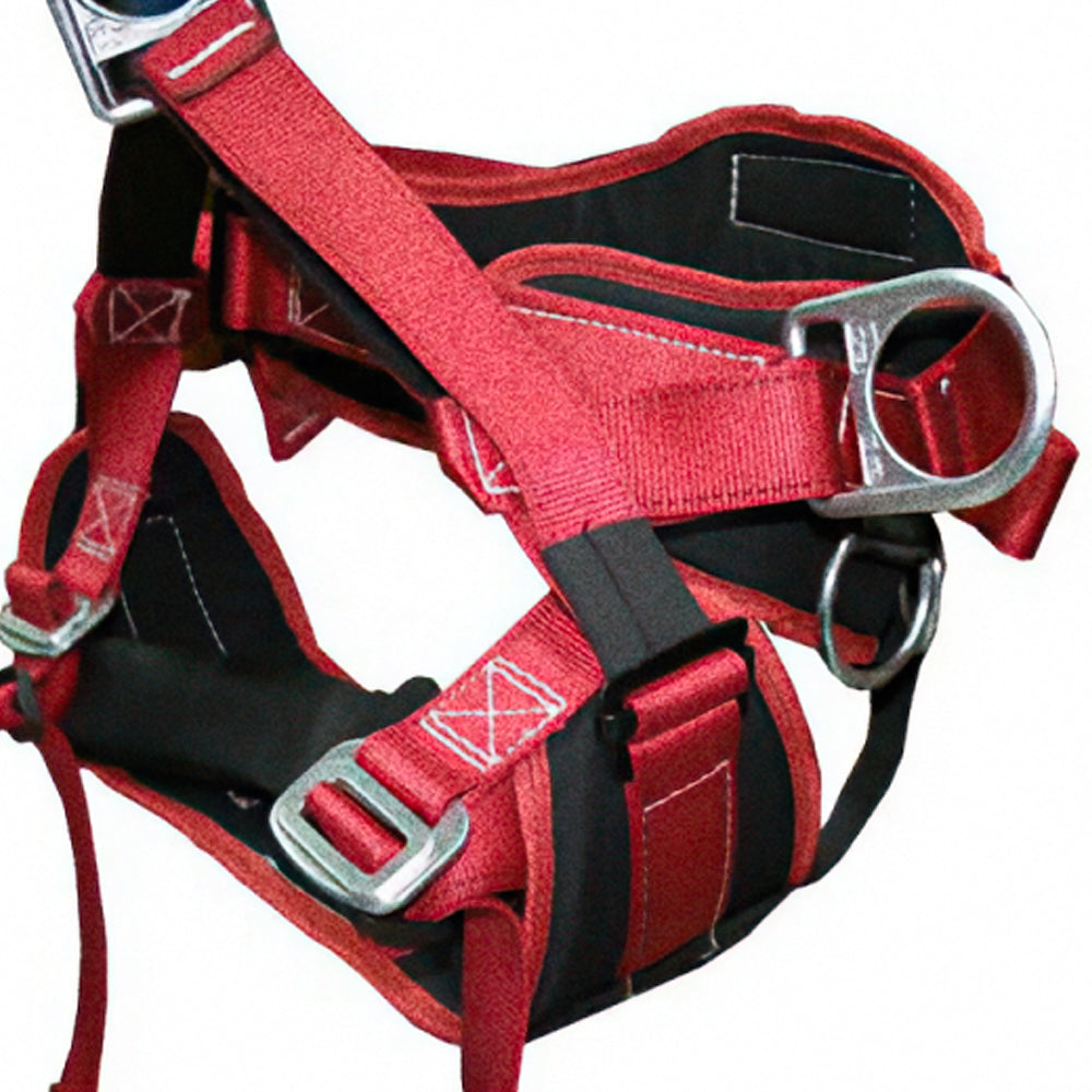 Red and black climbing harness with silver metal buckles and D-rings, shown on a plain white background. Buckinhgam AussieMasters