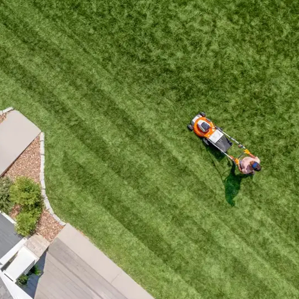 person using STIHL RMA 510 Battery Lawn Mower AP System available at Cannings. A quiet, high-performance battery mower for medium to large lawns and professional outdoor maintenance.