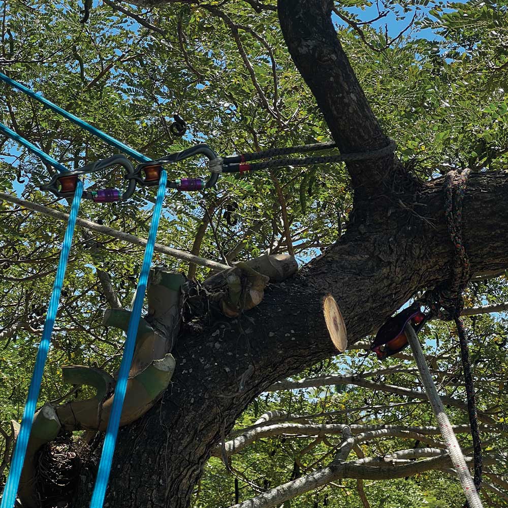 Yale Blue 32 arborist and industrial climbing rope. Available in 11.5mm and 11.7mm, 45m or 60m. Ideal for arborists, rope access, rescue, utilities and work at height. Shop Yale ropes at Cannings. 4
